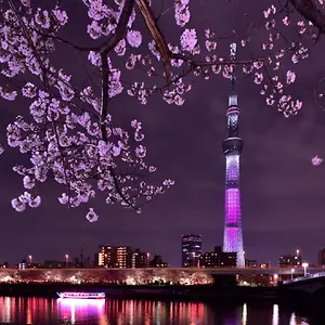 上野彩虹别墅 , 東京都 日本