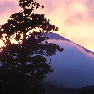 华之宿日式旅馆 传统日式旅馆